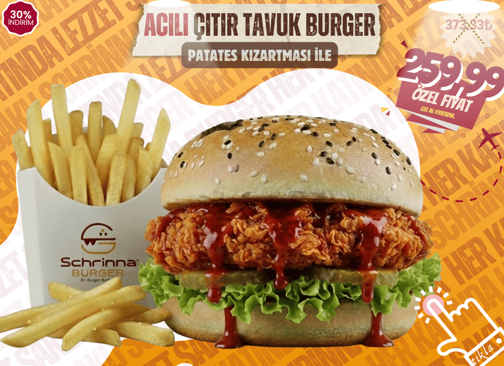 acilicitirtavukburger01